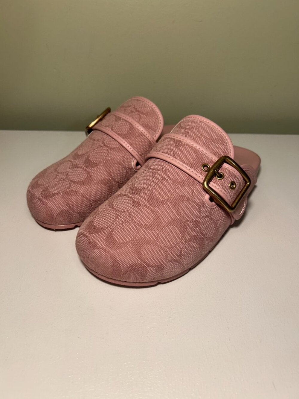 Coach Women's Archival Buckle Clog In Signature Jacquard Canvas